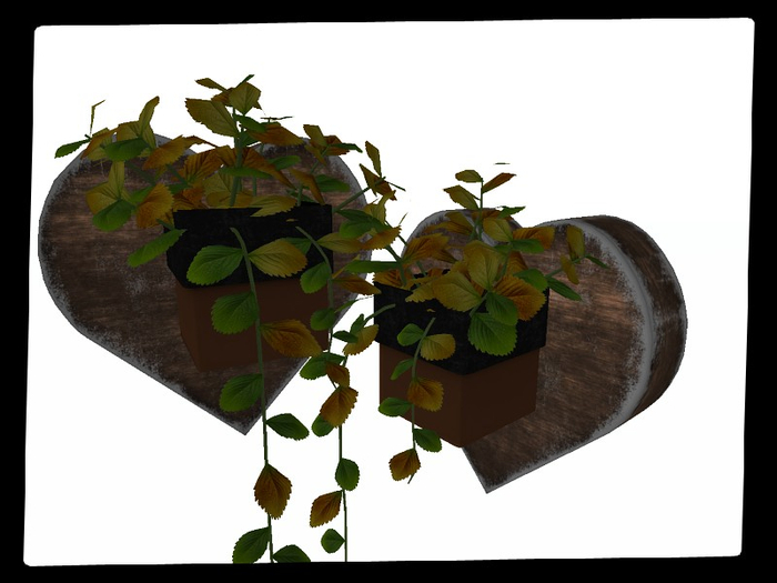 [AE] Home Decor - Heart Hanging Plant - Obane