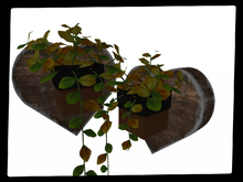 [AE] Home Decor - Heart Hanging Plant - Obane