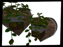 [AE] Home Decor - Heart Hanging Plant -Kano