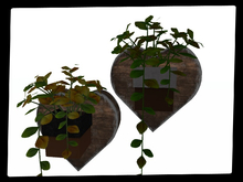 [AE] Home Decor - Heart Hanging Plant SET