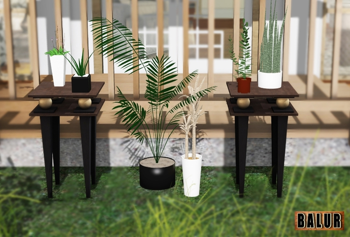 [BALUR]  - INDOOR PLANTS PACK 2