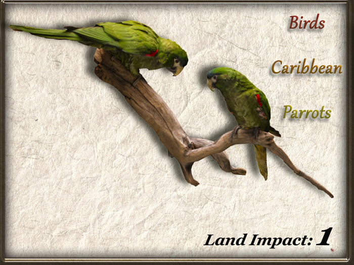 Birds - Caribbean Parrots (1 Li) Full Perm