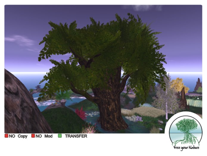 FYN - HUGE TREE - REZZER