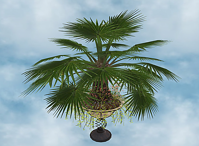 F.P. Plant - 059 ADD