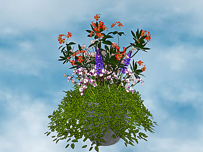 F.P. Plant - 063 ADD