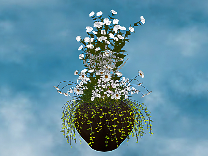 F.P. Plant - 075 ADD