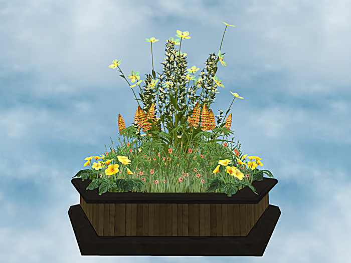 F.P. Plant - 91 ADD