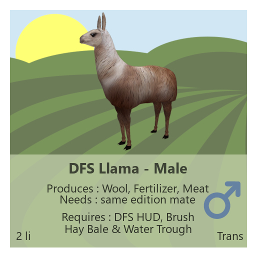 DFS Llama - Male
