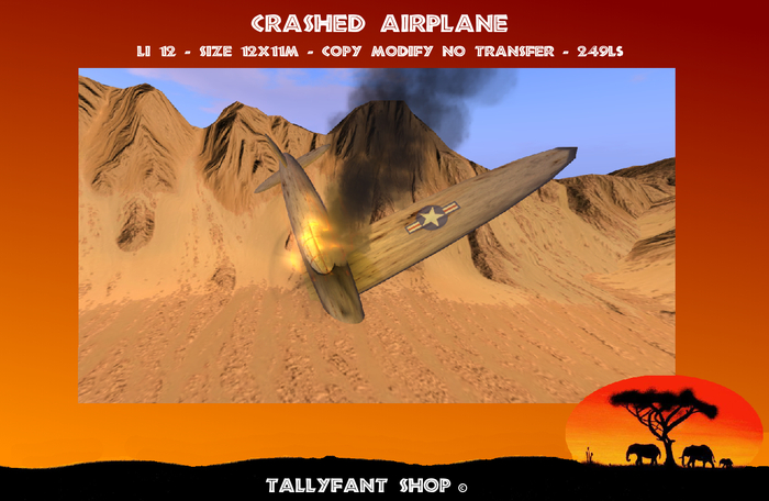 Airplane Crashed 