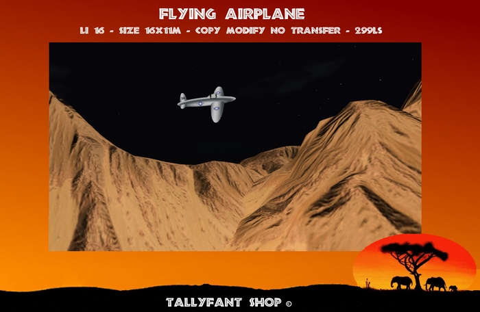 Oldtimer Airplane - Flying  