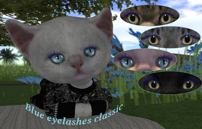 CRAZY SHOP Blue eyelashes classic