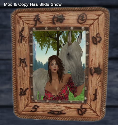 AA Country Western Frame Slideshow 5