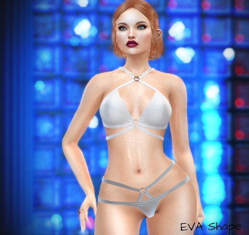 EVA Helhis Shapes creation (for LOGO Chelsea Head )