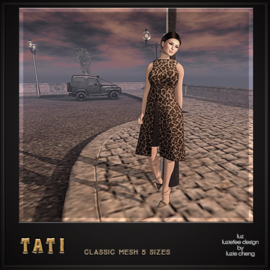LUZ - Tati wild cat - box