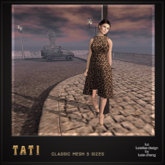 LUZ - Tati wild cat - box