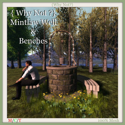 { Why Not ?} Mintlaw Well & Benches-Boxed