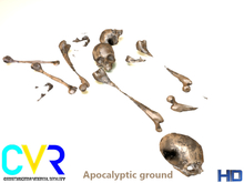 CVR Apocalyptic ground Cardboard box