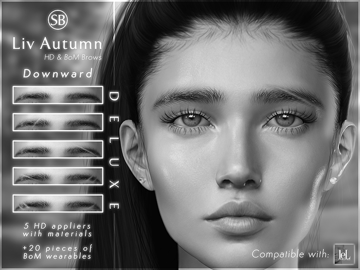 Eyebrows, Lelutka RIVER: LivAutumn.Downward.DEMO