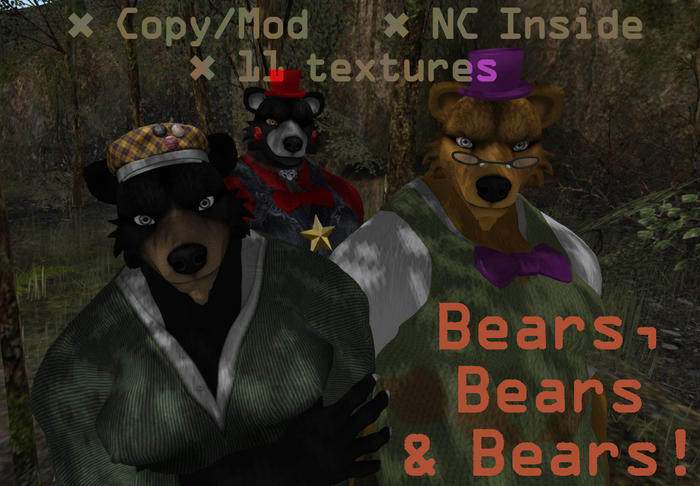 Bears, Bears & Bears!