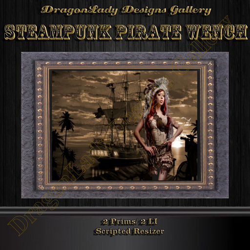 Steampunk Pirate Wench