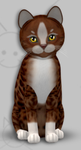 KittyCatS Box - Genesis Ginger II/Female/TOY