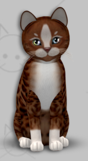 KittyCatS Box - Genesis Ginger II/2T/Dreamy Hideaway