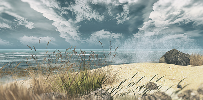 Stormy Beach Backdrop (Add) PLEASE READ DESCRIPTION BEFORE YOU BUY