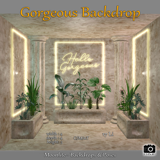 M-BdP - Gorgeous - Backdrop - Gold