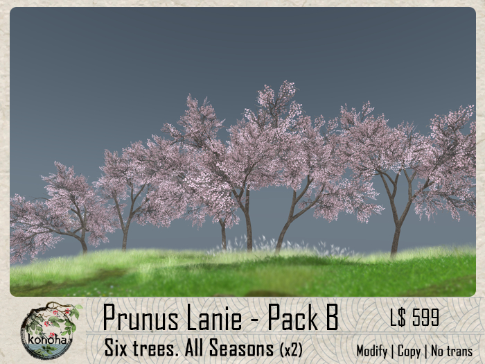 Konoha - Plum Tree (Prunus lanie) - Pack B V.018 