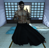 Tai Chi Chuan - ::Casual ::