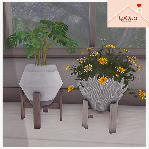 LpOca Dion Planter