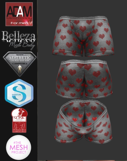 Hearts Boxers Version 2 - Normal and Exposed