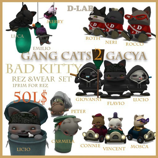 d-lab gang cat2 connie