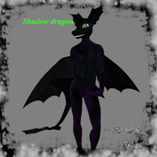 shadow dragon