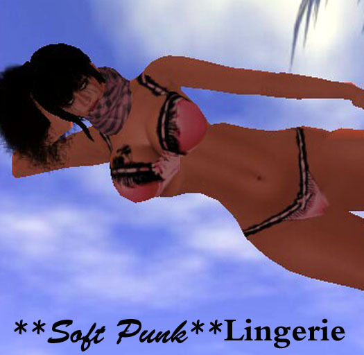 Hb-**Soft Punk.. Lingerie