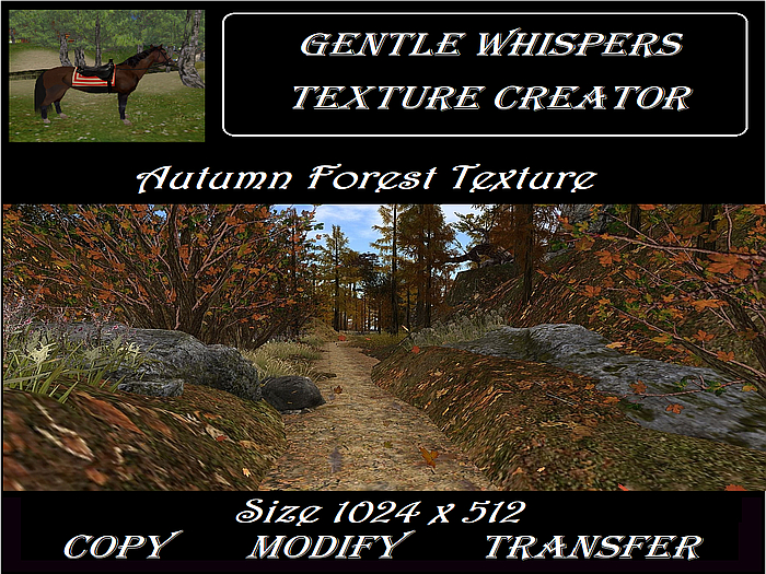  Autumn Forest Texture