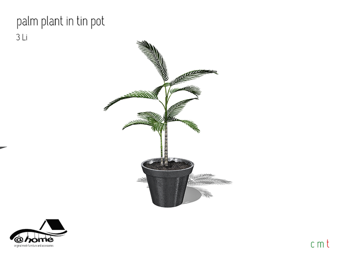 @home: palm plant in tin pot 
