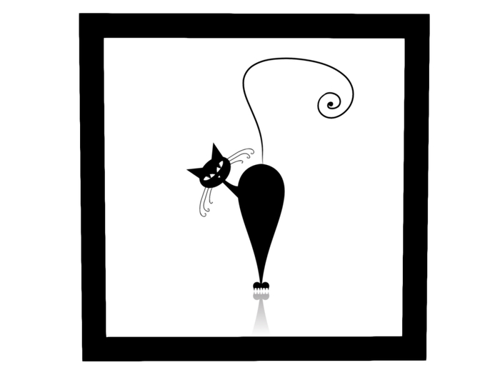 Black cat/black frame FB