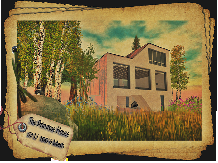 The Primrose House (boxed)