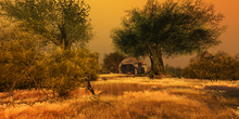 Colorful Country life Backdrop (Add) PLEASE READ DESCRIPTION BEFORE YOU BUY