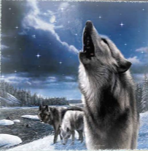 animated frame wolwes