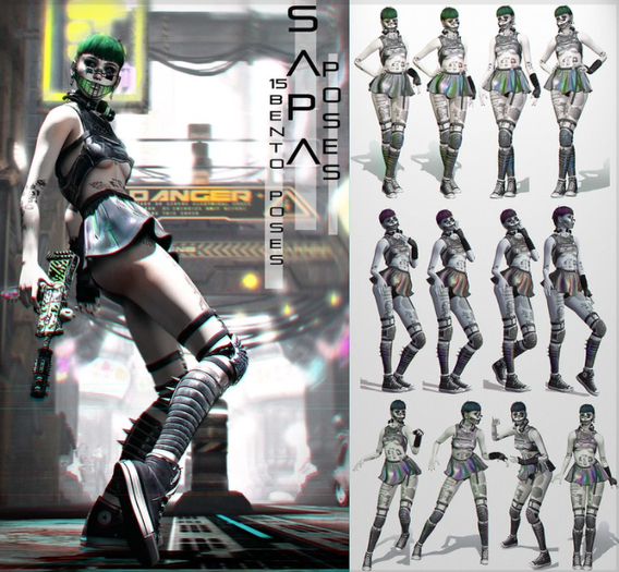 SAPA poses 106