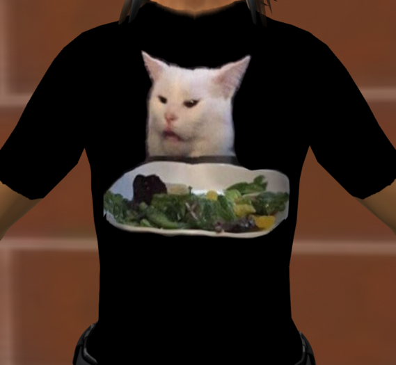 Yelled At Cat T