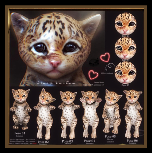 **[Black Bantam] Tiny Leopard Pose 04