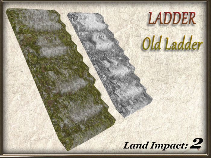LADDER - Old Ladder (2 Li) Full Perm