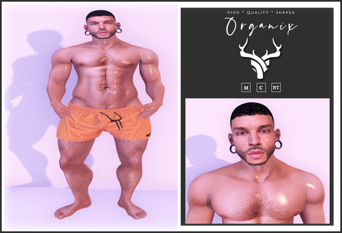 Organix - Markus Shape