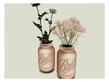 [AE] Home Decor - Mason Jar Flower  Set