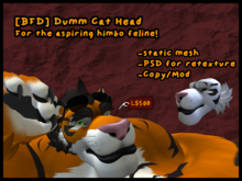 [BFD] Dumm Cat Head