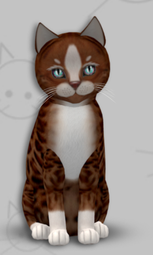 KittyCatS Box - Genesis Ginger II/5T/Female/Tapestry Reef