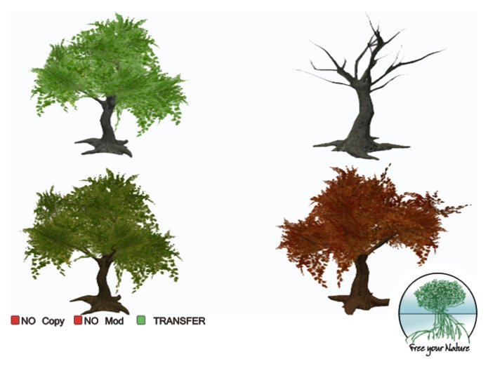 - 4 Seasons - - Pack of 4 trees-